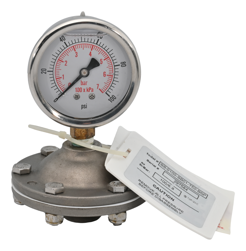 Elválasztott manométer SS/Teflon